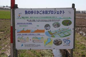 魚のゆりかご水田プロジェクト