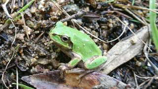 db1dbb05d4eab1e623a61f6bf7d7cc