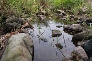 伏流水が湧き出る小規模水域